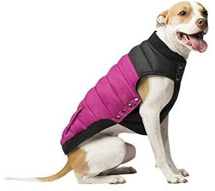 Canada Pooch Summit Stretch Vest Canada Pooch Summit Stretch VestPlum 26" 65cm